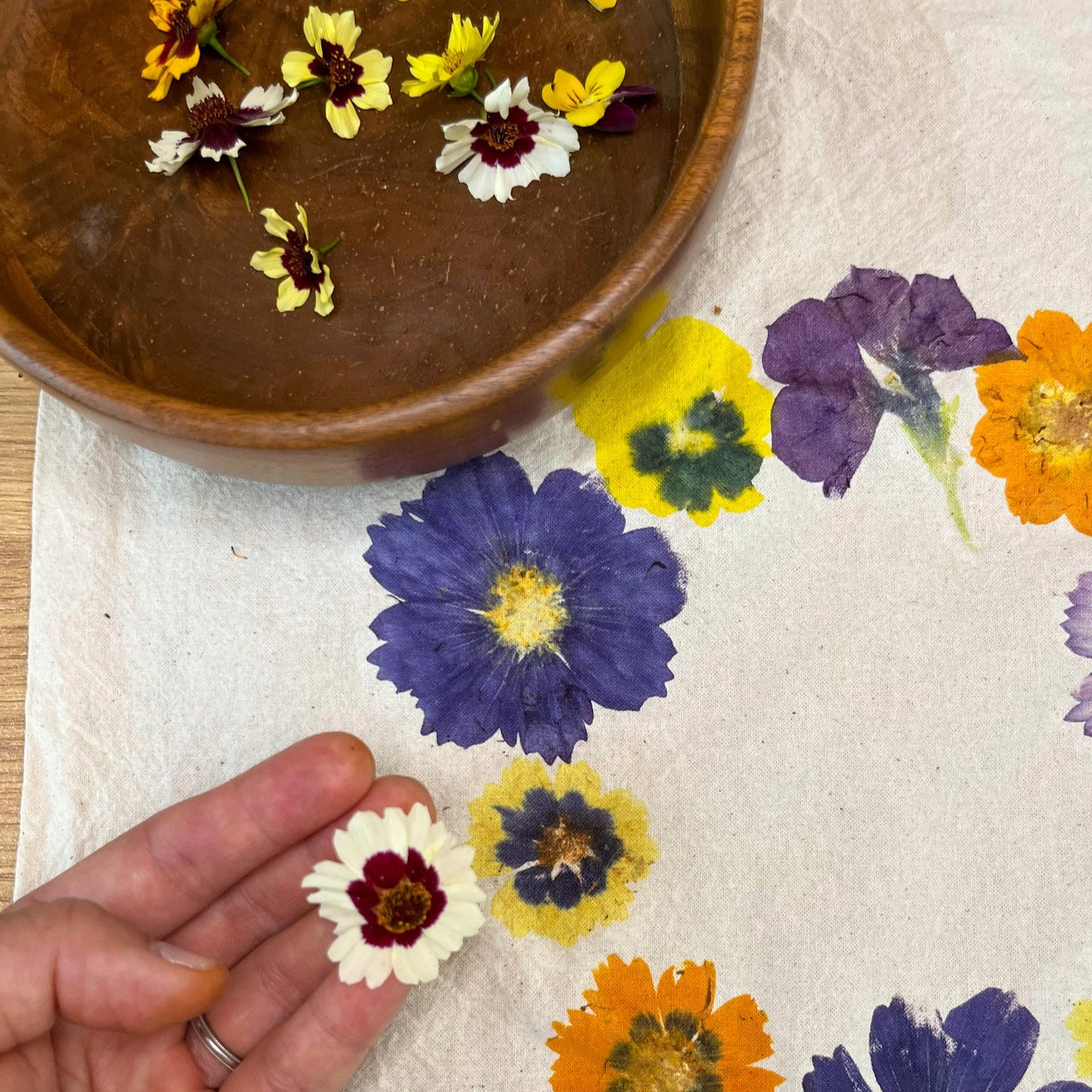 Floral Eco-Printing Workshop | Aug 16th (Satuarday) | 10am - 1pm