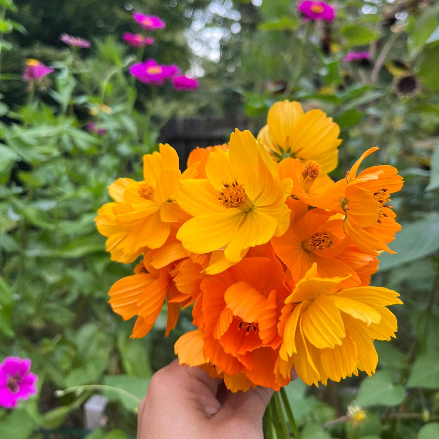 Floral Eco-Printing Workshop | Aug 16th (Satuarday) | 10am - 1pm