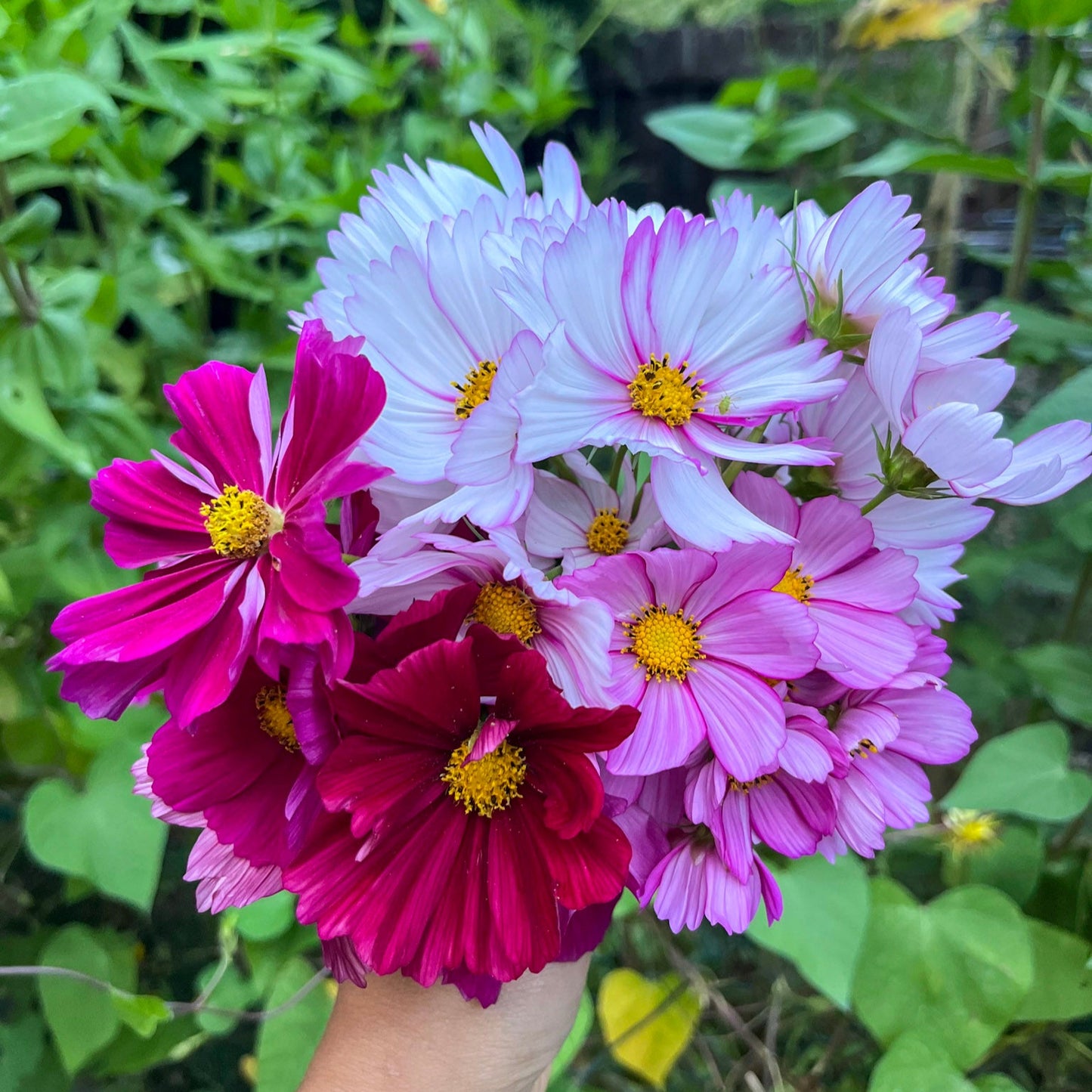 Floral Eco-Printing Workshop | Aug 16th (Satuarday) | 10am - 1pm