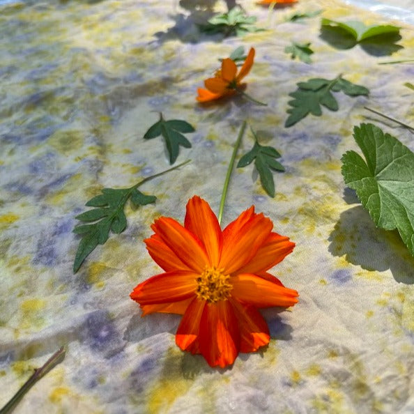 Adult workshop Floral Bundle Dyeing & Eco Printing