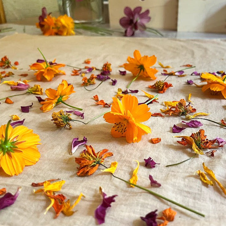 Kids workshop Floral Bundle Dyeing (Age 7 -12)